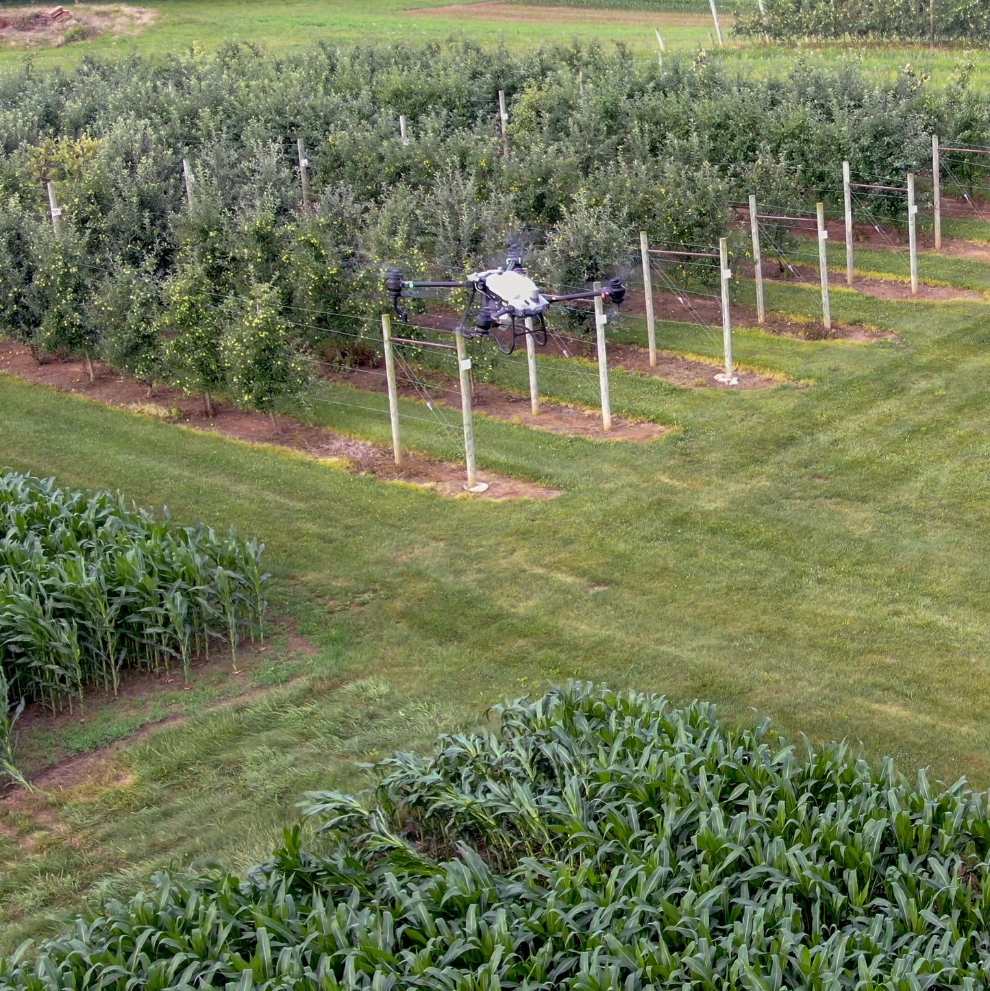 DJI Agras T40 Sprayer Drone