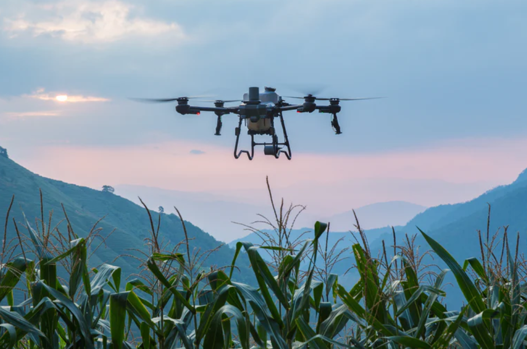 DJI Agras T25P (Drone)